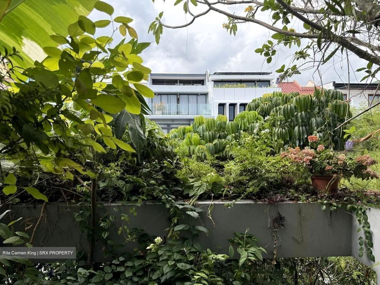 Opera Estate (D15), Terrace #610686931